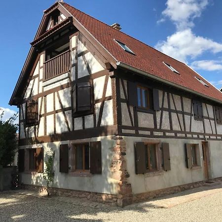 Paisible Logement Tout Equipe Pour 1 A 6 Personnes Ebersheim Esterno foto