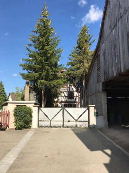 Paisible Logement Tout Equipe Pour 1 A 6 Personnes Ebersheim Esterno foto